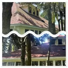 Roof and Gutter Cleaning 1
